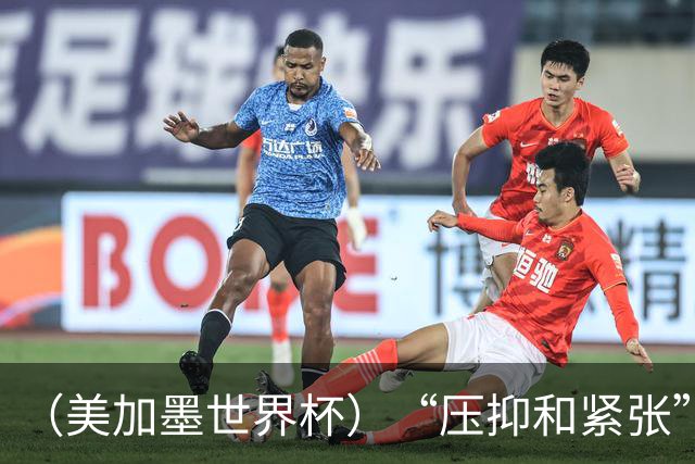（美加墨世界杯）“压抑和紧张”中的伊朗队首秀